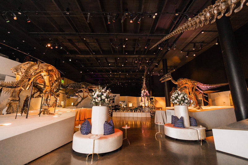 Houston Museum of Natural Science Wedding Reception
